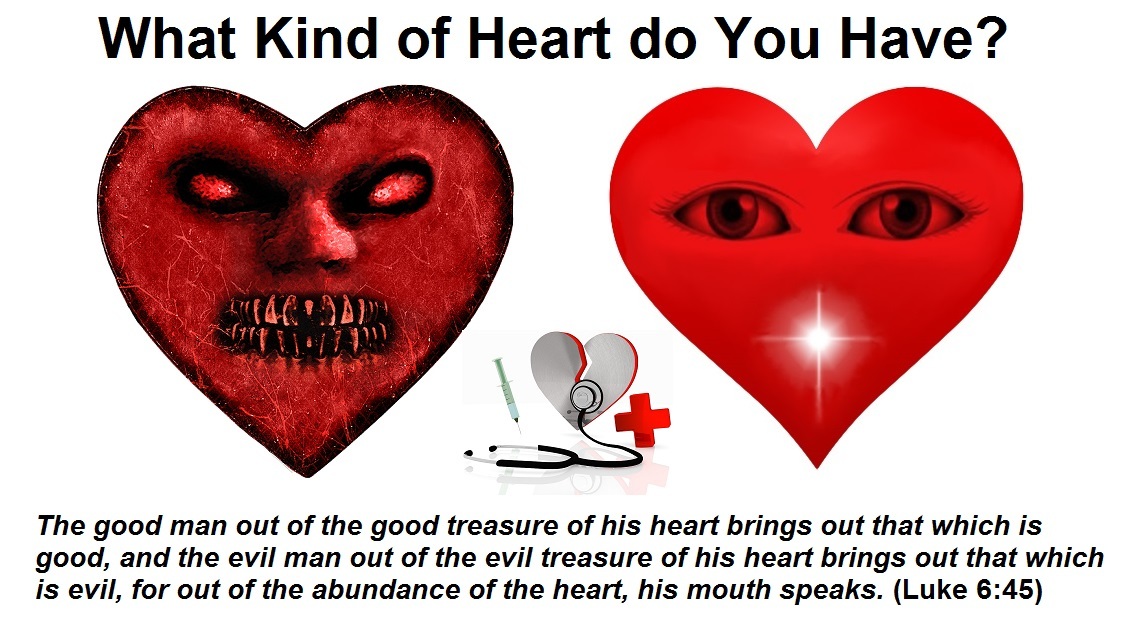 What-Kind-of-Heart-do-you-have