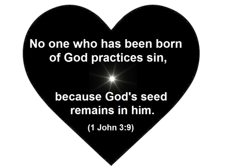 Gods-Spritual-Seed-1-John-768x574